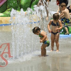 1d1777d0-e89b-478b-a556-fc6e6b78e2a0